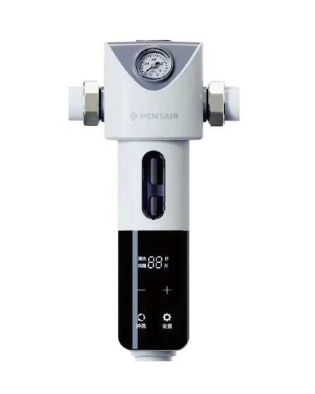 Pentair C500 Auto Sand Filter